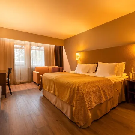 Hotel Iisalmi 4*
