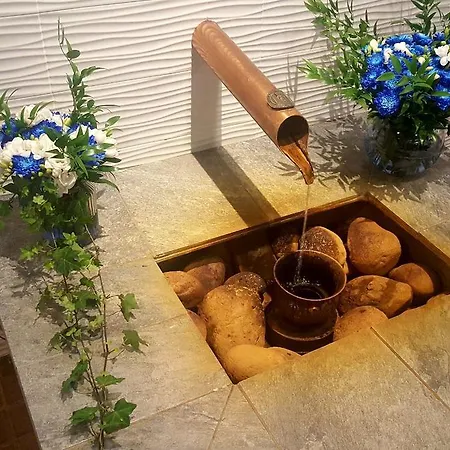 Iisalmi فندق Runni