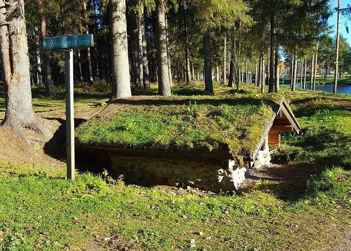 Iisalmi فندق Runni