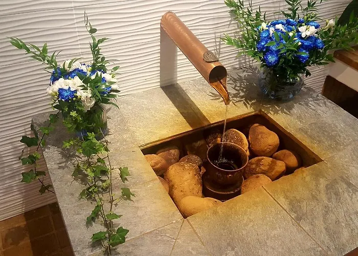 Iisalmi فندق Runni